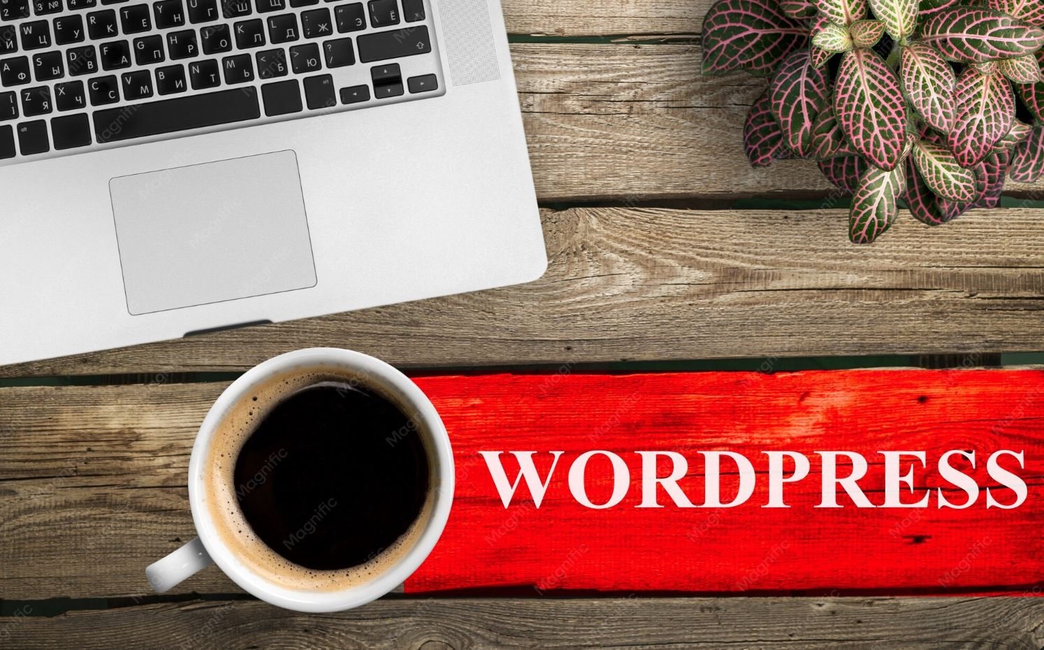Desarrollador WordPress en Barcelona para pymes